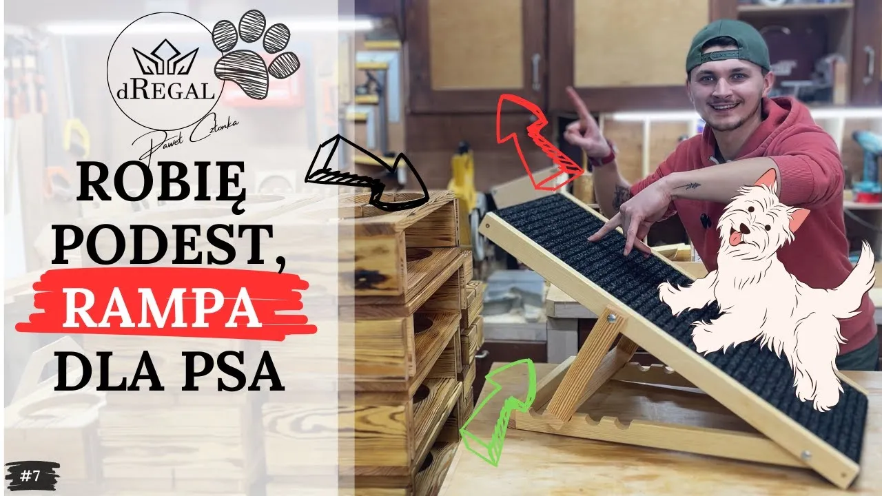 Zdjęcie Jak zrobić podest dla psa - proste kroki, aby ułatwić mu życie