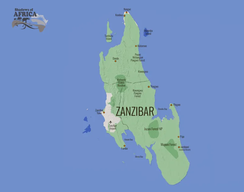 Zdjęcie Gdzie leży Zanzibar i na jakim kontynencie? Sprawdź jego położenie i ciekawostki!