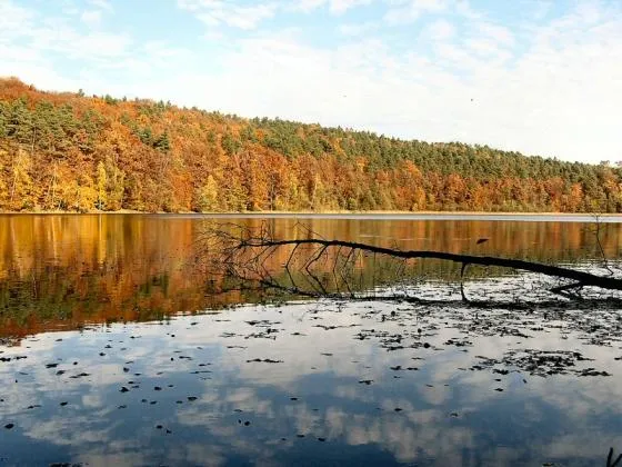 Zdjęcie Jezioro Lubniewsko: odkryj urok natury i rekreacji w sercu Lubuszczyzny
