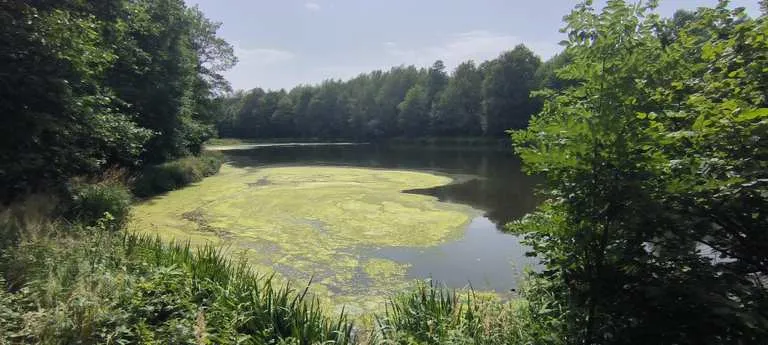 Zdjęcie Najlepsze trasy rowerowe w Rudzie Śląskiej - odkryj ukryte szlaki