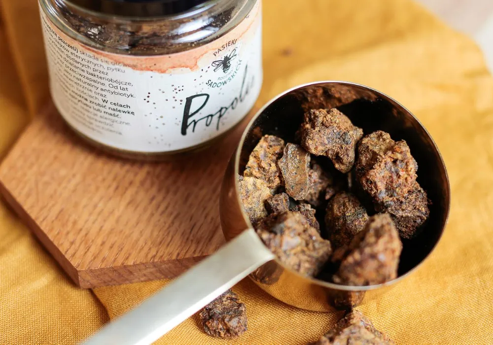 Zdjęcie Jak zażywać propolis na spirytusie, by maksymalnie wykorzystać jego moc