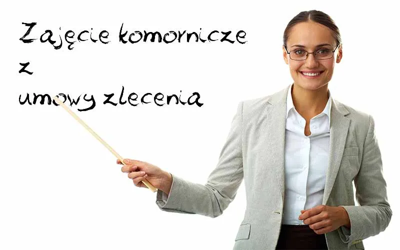 Zdjęcie Umowa zlecenie: czy komornik może zabrać wszystkie zarobki?