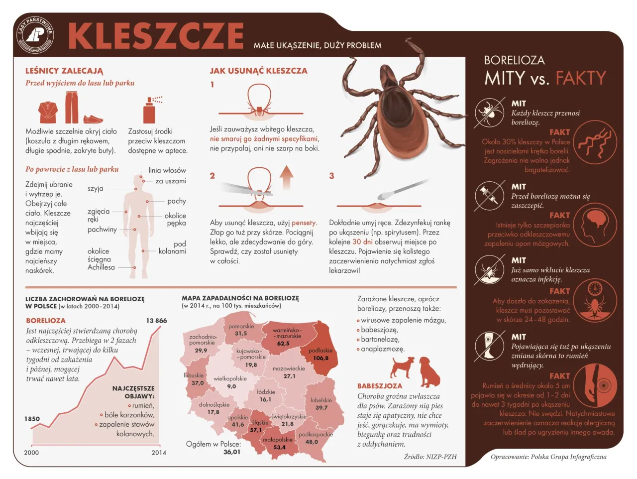 Zdjęcie Gdzie siedzą kleszcze i jak ich unikać w popularnych miejscach