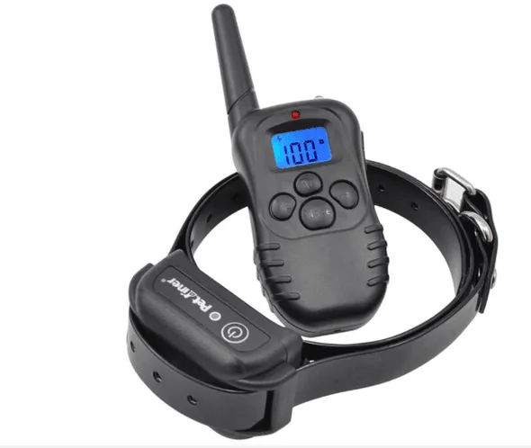 Zdjęcie Czy obroża elektryczna jest legalna? Poznaj kontrowersje i przepisy