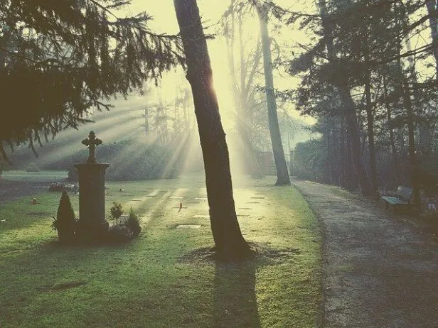 Zdjęcie Jakiej śmierci najbardziej się boisz? Odkryj swoje lęki i obawy