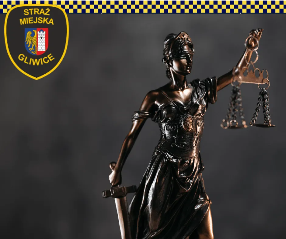 Zdjęcie Kradzież w kodeksie wykroczeń: jakie kary grożą za kradzież?