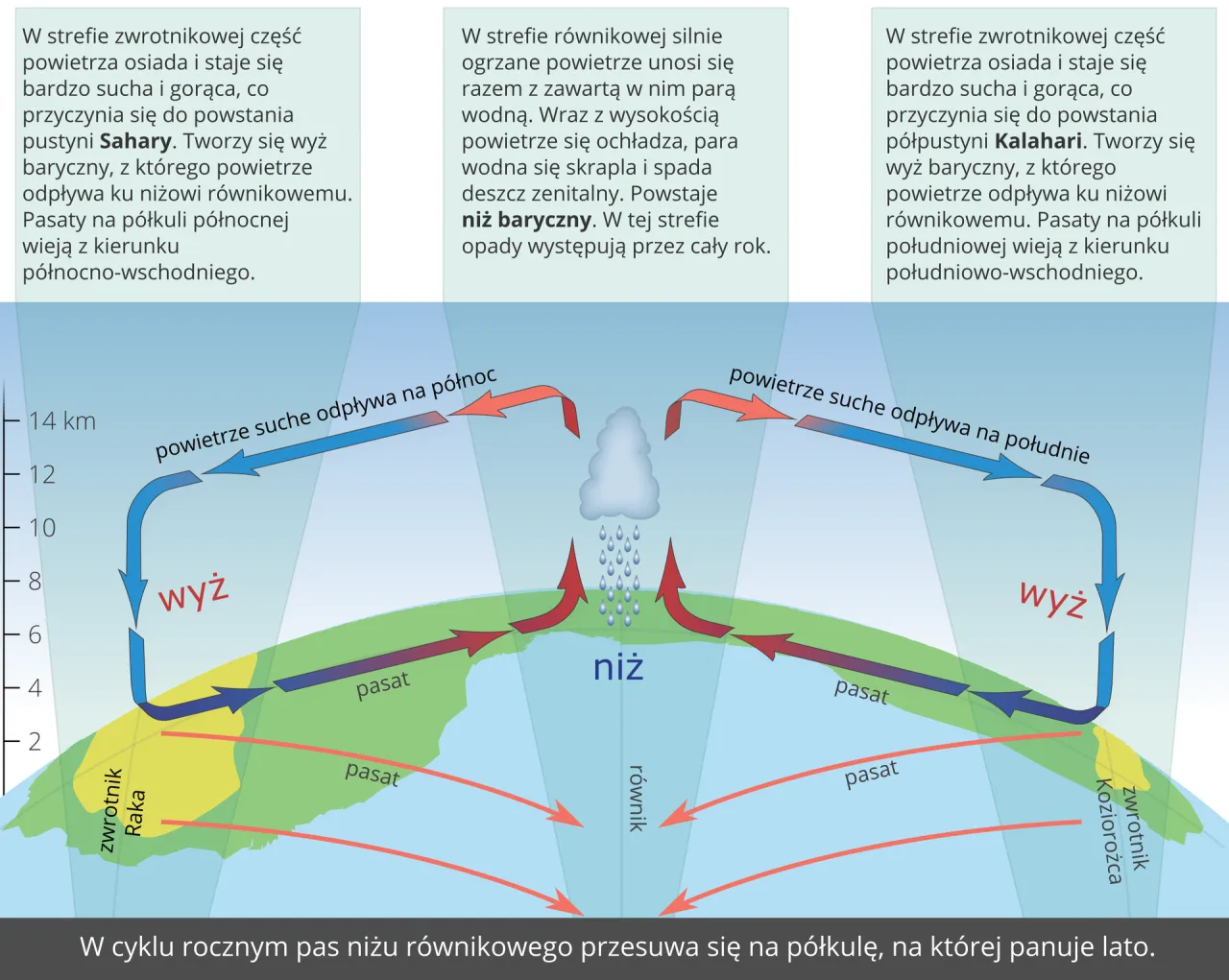 Zdjęcie Dlaczego w Afryce jest gorąco? Odkryj zaskakujące przyczyny klimatu