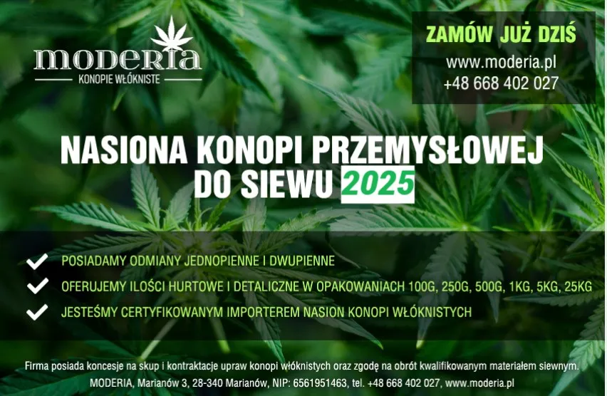 Zdjęcie Certyfikowane nasiona konopi: poznaj ich jakość i odmiany w sprzedaży