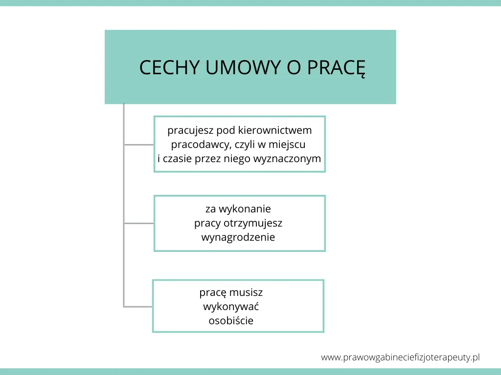 Zdjęcie Ile godzin pracuje fizjoterapeuta na etacie? Zaskakujące fakty