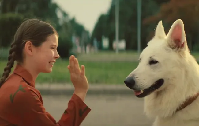 Zdjęcie Ile trwa film o psie który jeździł koleją? Zaskakująca długość!