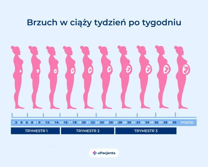 Zdjęcie Pierwsze objawy ciąży po zapłodnieniu: 12 sygnałów rozpoznasz od razu