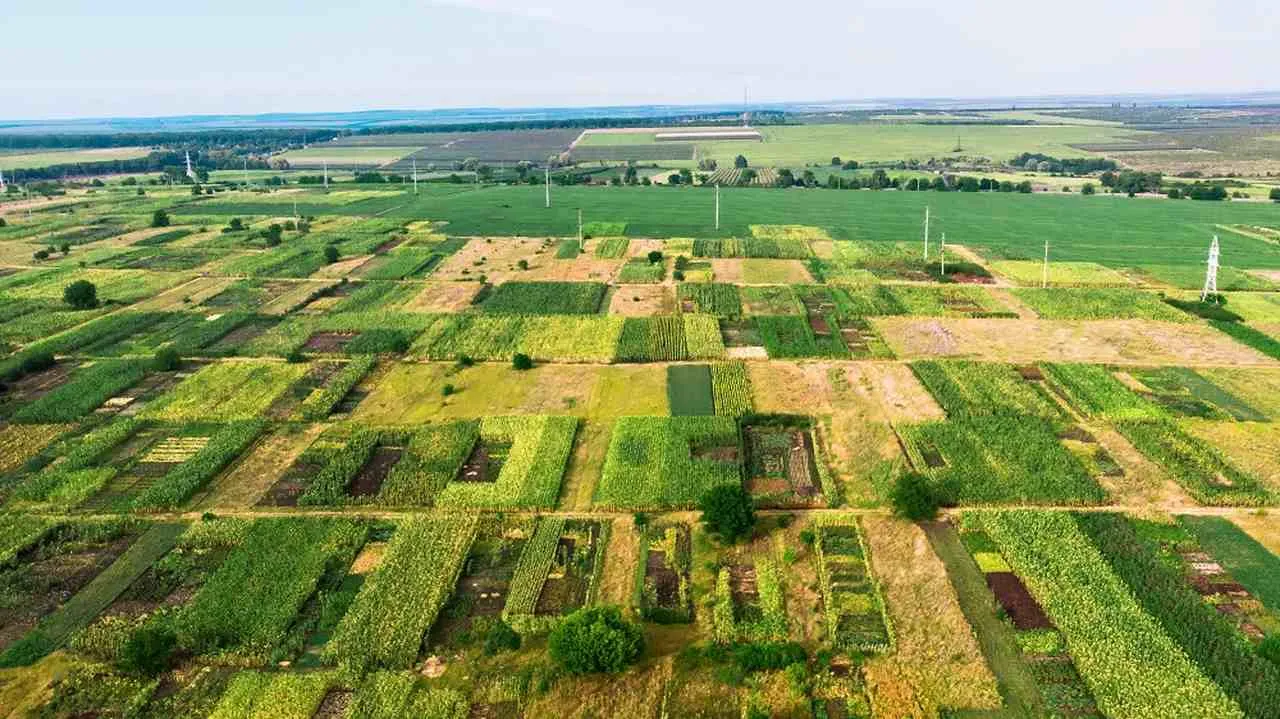 Zdjęcie Jak ustalić, do kogo należy działka – proste metody i porady