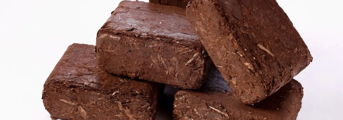 Zdjęcie Czy brykiet torfowy jest dobry? Poznaj jego wady i zalety jako paliwa