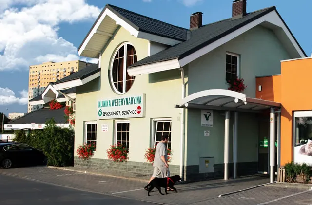Zdjęcie Gdzie przyjmuje prof. Lechowski weterynarz? Sprawdź adres i usługi