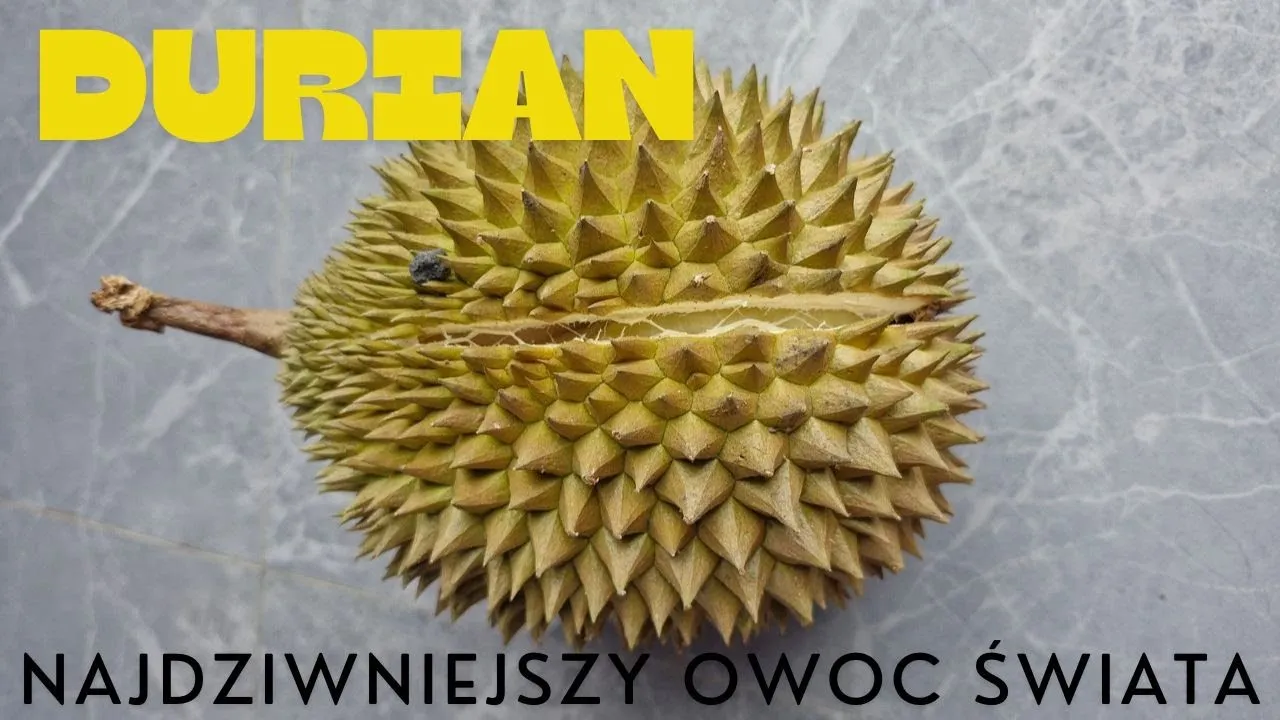 Zdjęcie Durian owoc - sklep z egzotycznym owocem