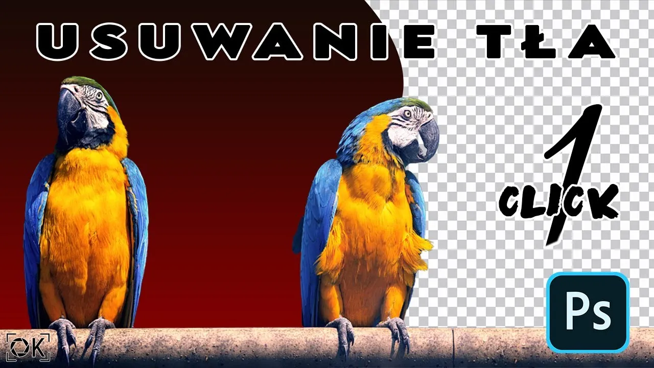 Zdjęcie Jak usunąć białe tło w Photoshopie - proste metody, które działają
