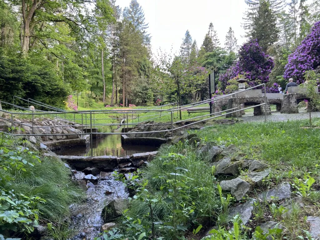 Zdjęcie Sudety w Głuchołazach - najpiękniejsze atrakcje i szlaki turystyczne [2024]