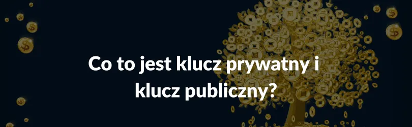Zdjęcie Co to jest klucz prywatny i publiczny? Zrozum ich znaczenie w kryptowalutach