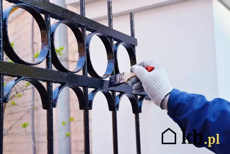 Zdjęcie Jak skutecznie pomalować ogrodzenie metalowe - najlepsze farby