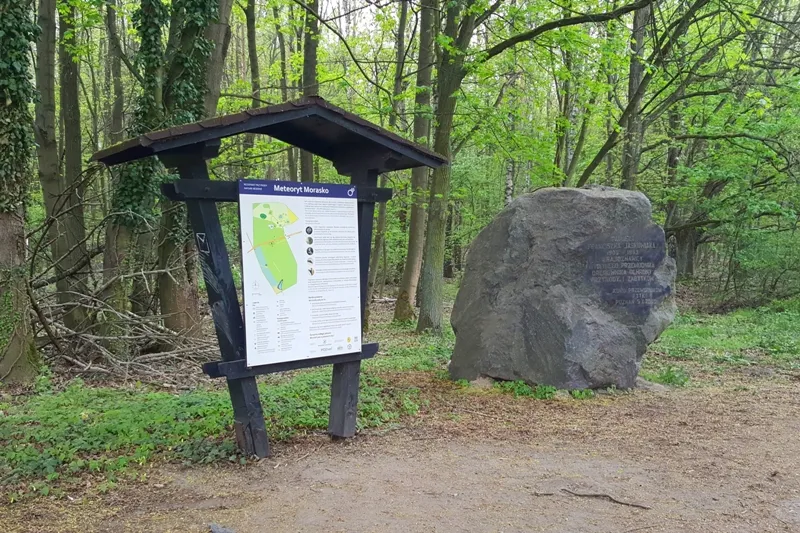 Zdjęcie Rezerwat przyrody Meteoryt Morasko – tajemnice kraterów i unikalna fauna