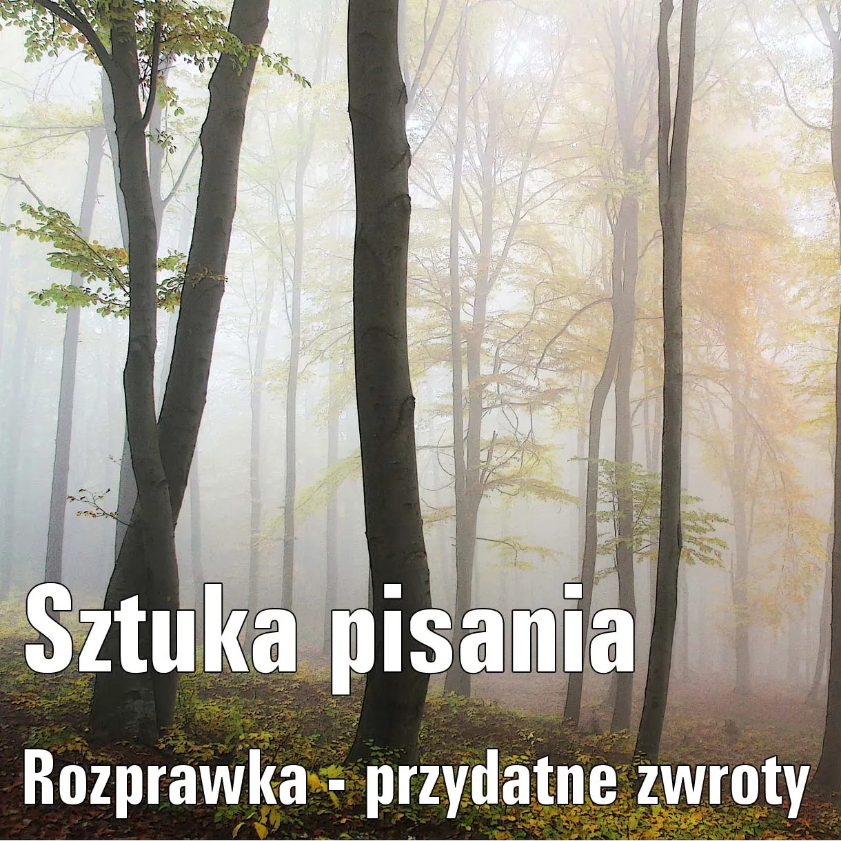 Zdjęcie Jak wprowadzić przykład do rozprawki i wzmocnić swoje argumenty