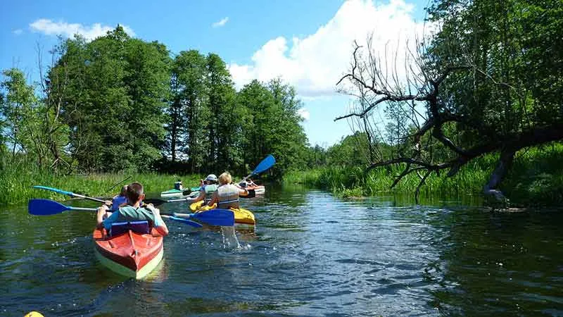 Zdjęcie Ile kosztuje spływ kajakowy? Kosztorys i praktyczne porady