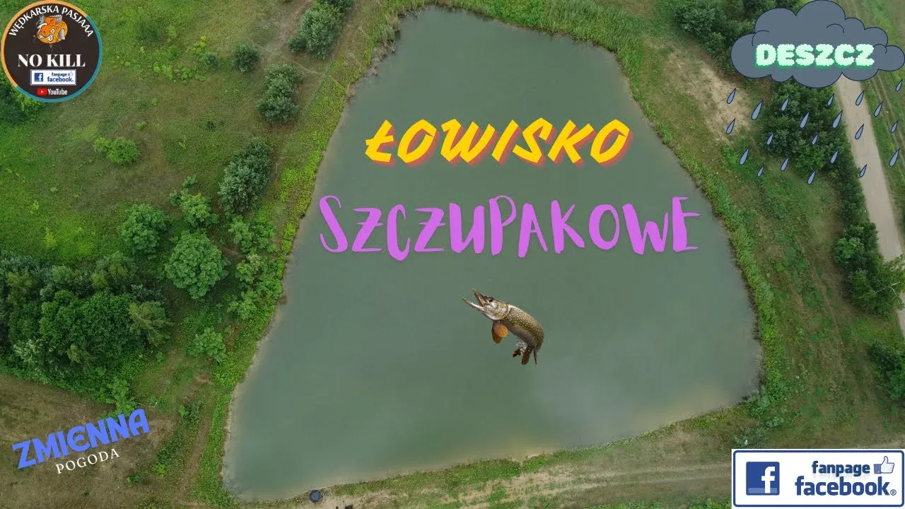 Zdjęcie Łowisko szczupakowo: najlepsze miejsce na pstrągi i noclegi w Giżycku