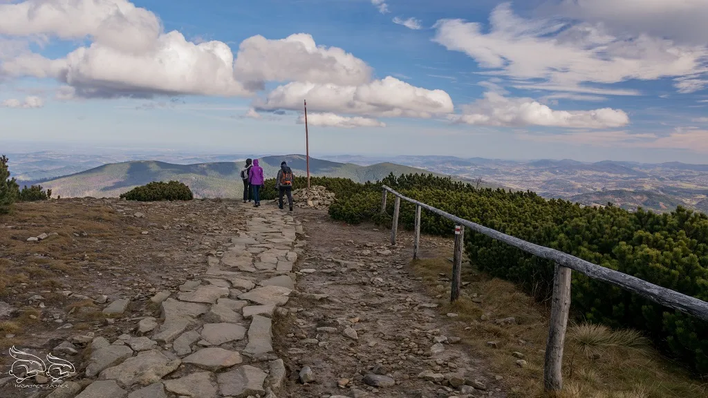 Zdjęcie Ile ma Babia Góra? Odkryj jej imponującą wysokość 1725 m n.p.m.