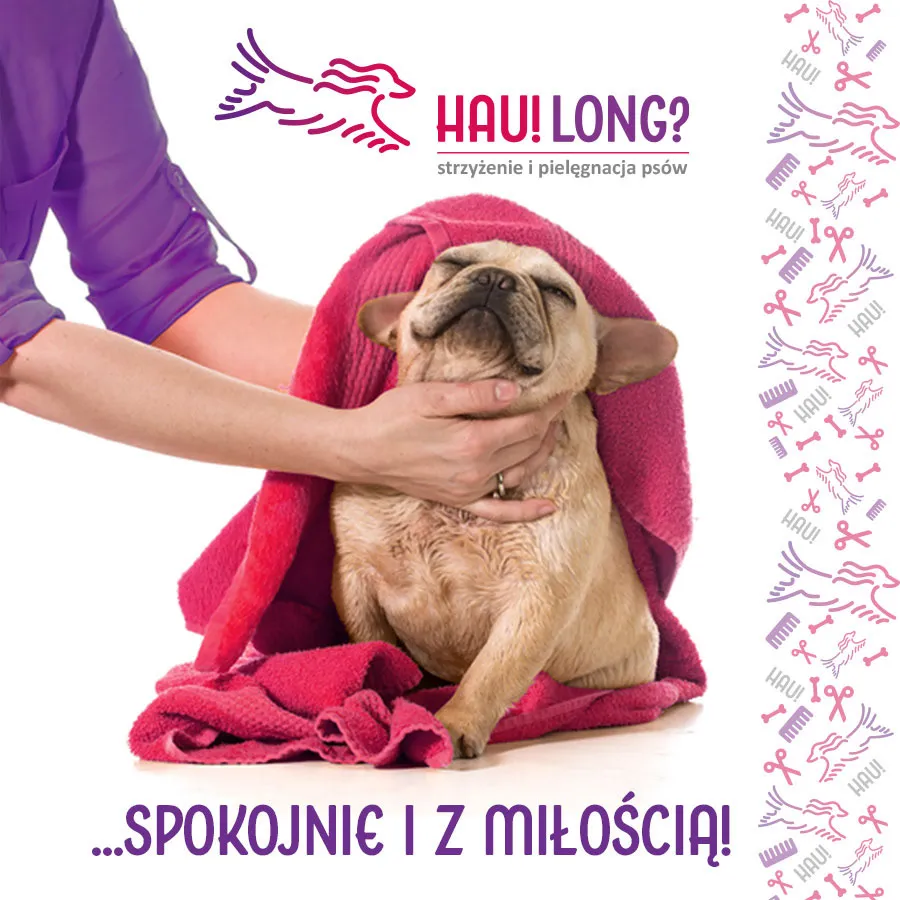 Zdjęcie Ile kosztuje obcięcie pazurów u królika? Sprawdź ceny i oszczędź