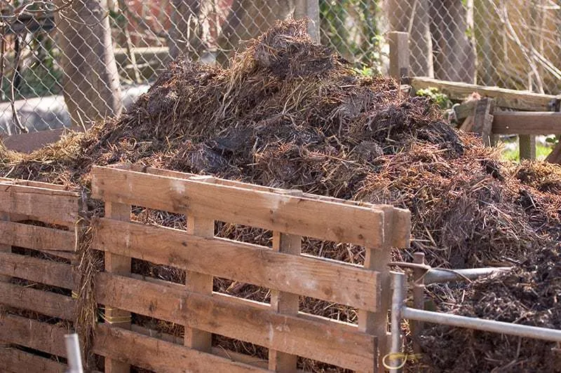 Zdjęcie Jak wygląda kompostownik? Odkryj różnorodność i materiały budowy