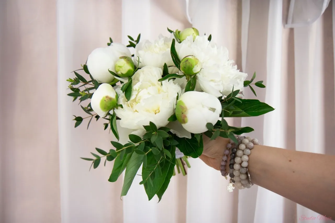 Zdjęcie Kiedy jest sezon na peonie? Sprawdź, kiedy najlepiej je kupić