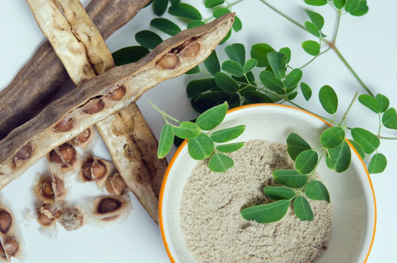 Zdjęcie Moringa na odchudzanie jak stosować: skuteczne metody i dawkowanie