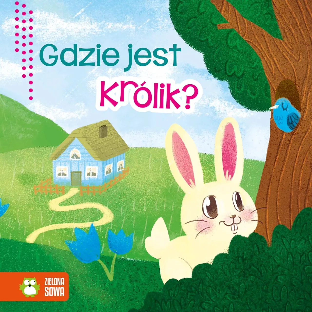 Zdjęcie Gdzie królik lubi być głaskany? Odkryj sekrety szczęśliwych królików