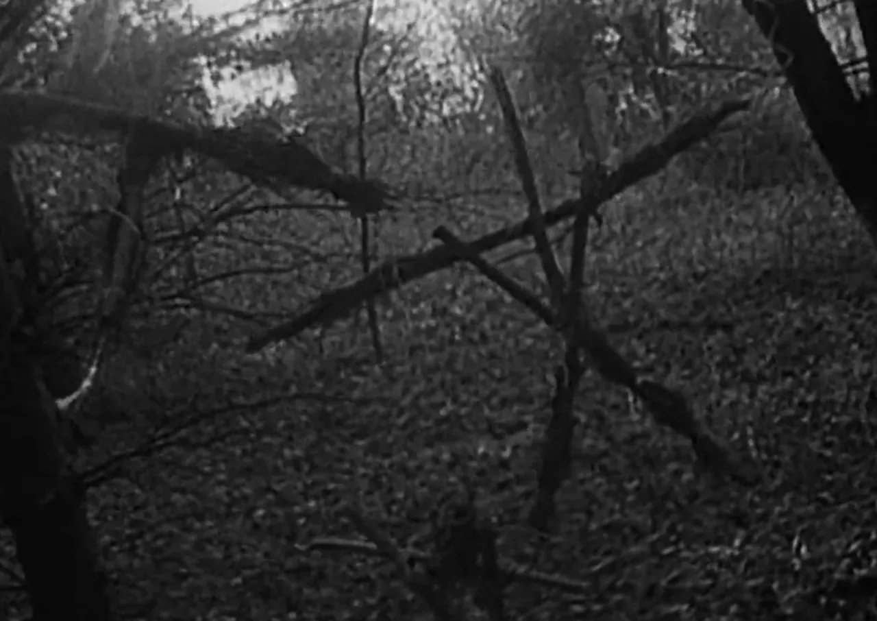 Zdjęcie Blair Witch Project: Fakty i mity o prawdziwości słynnego horroru