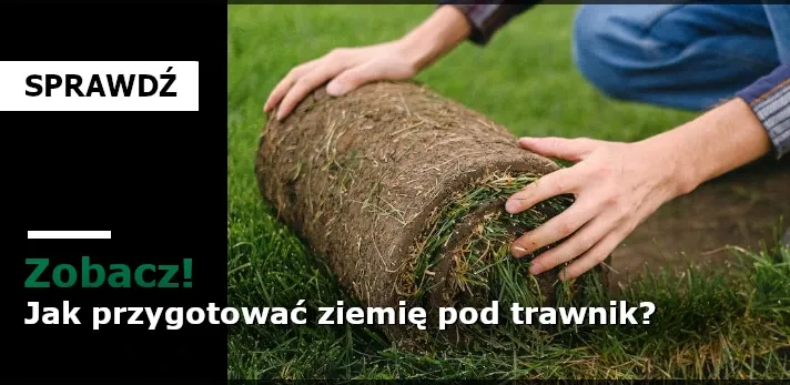 Zdjęcie Jak przekopać trawnik pod warzywa i uzyskać zdrowe plony