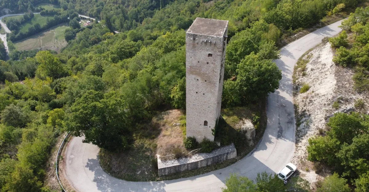 Zdjęcie Zamek w Świeciu: Krzyżacka twierdza nad Wisłą warta zobaczenia