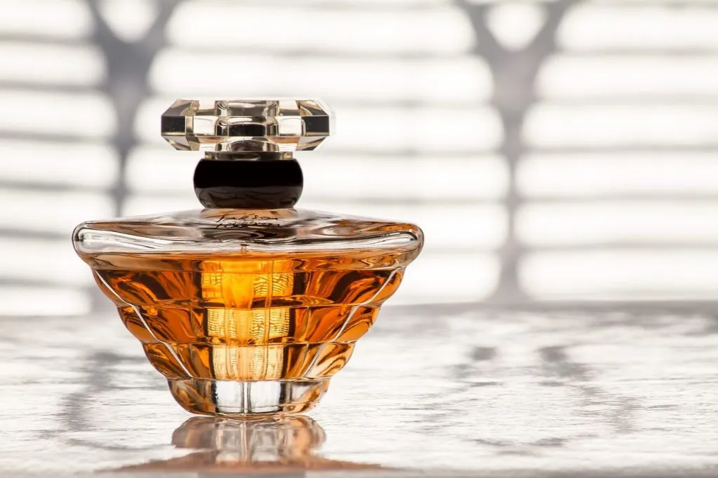 Zdjęcie Najładniejsze perfumy Calvin Klein damskie, które zachwycają nutami zapachowymi