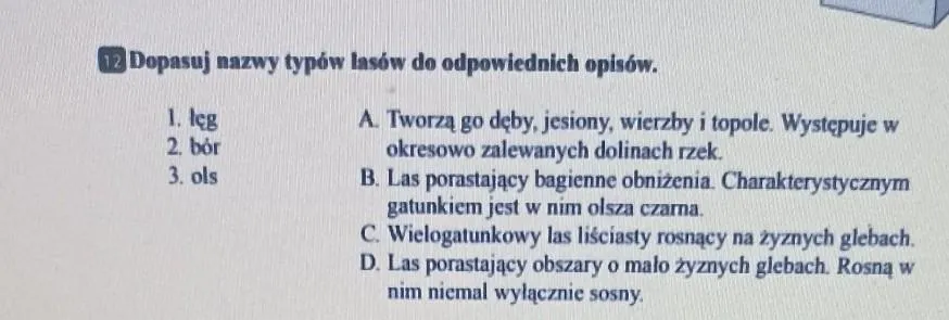Zdjęcie Nauka rozpoznawania programów TV: dopasuj nazwy do opisów