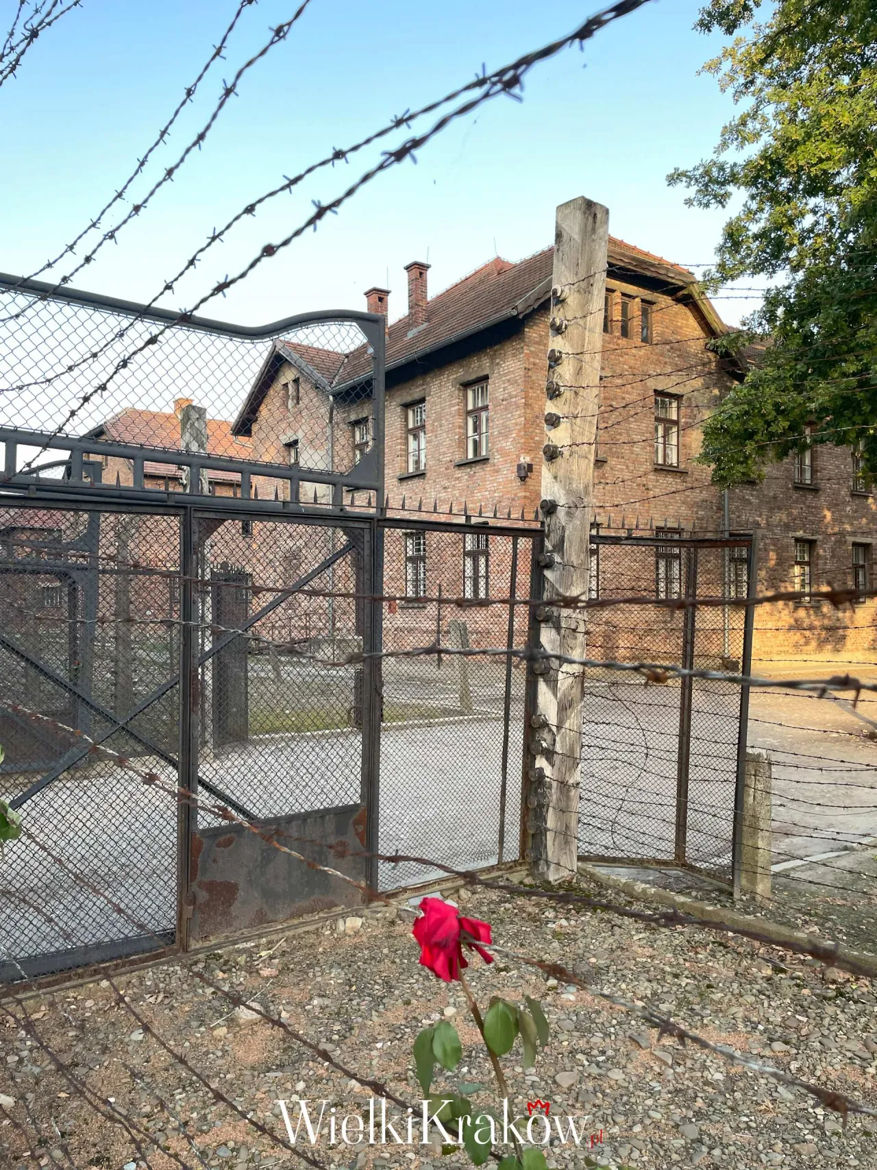 Zdjęcie Ile wynosi cena biletu do Auschwitz? Sprawdź, co zawiera bilet
