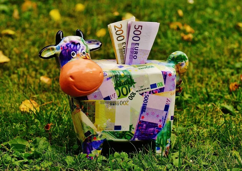 Zdjęcie Wie viel verdient ein Tierarzt mit eigener Praxis netto? Die Wahrheit über das Einkommen