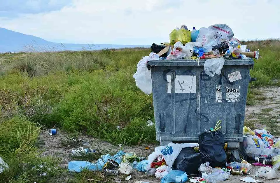 Zdjęcie Jak napisać skargę na wywóz śmieci i uniknąć dalszych problemów?