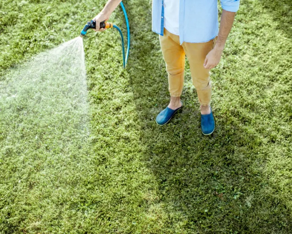 Zdjęcie Jak długo podlewać trawnik zraszaczem? Sprawdź czas i metody
