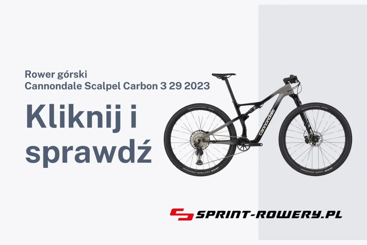 Zdjęcie Ile czasu zajmuje przejechanie 10 km na rowerze? Sprawdź różnice!