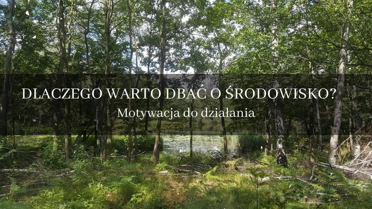Zdjęcie Dlaczego warto dbać o zieleń: 5 kluczowych korzyści dla zdrowia