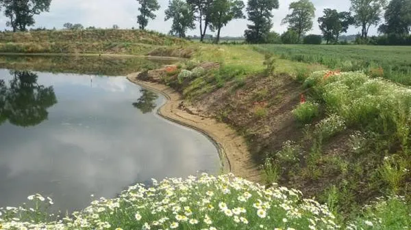 Zdjęcie Orzechowy Dworek – idealne miejsce na wypoczynek wśród natury