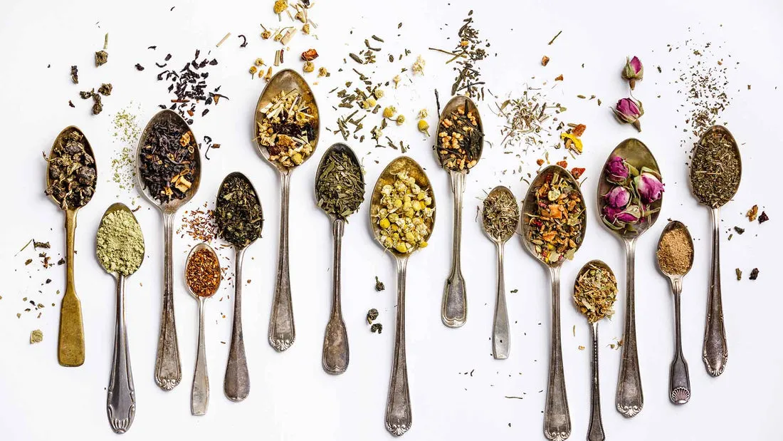 Zdjęcie Welche Tees sind die besten für Gesundheit und Wohlbefinden?