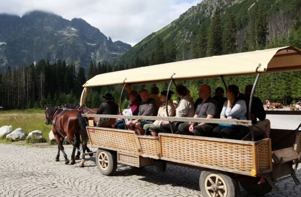 Zdjęcie Aktualne ceny bryczek i transport w Dolinie Chochołowskiej: Czy warto?
