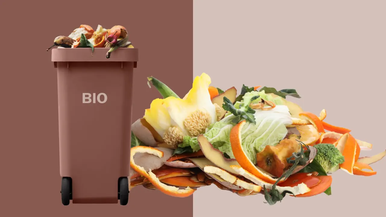Zdjęcie Czy chleb do bio? Sprawdź, co możesz wyrzucić do odpadów organicznych