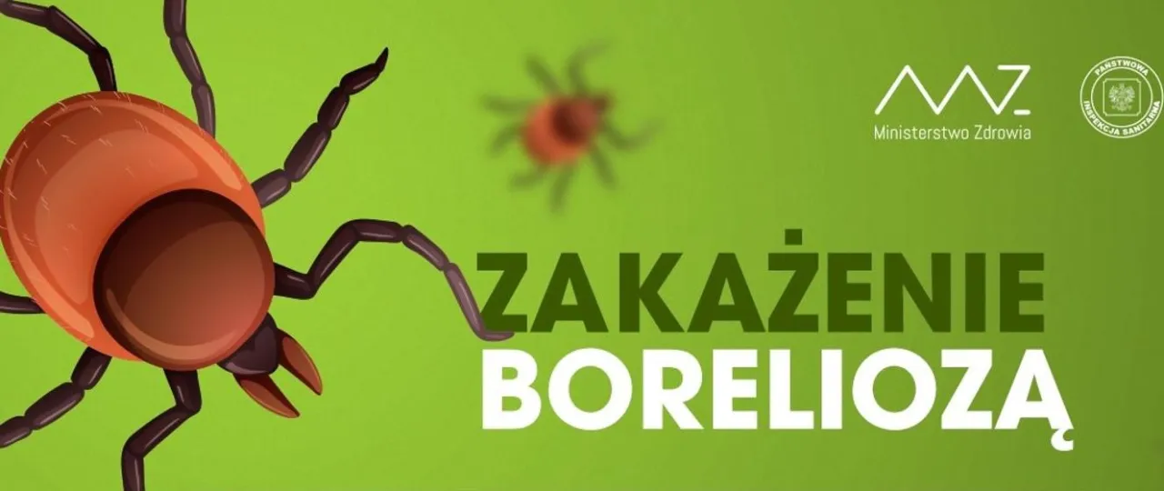 Zdjęcie Czy kleszcz to owad? Prawda, która zaskoczy wielu ludzi
