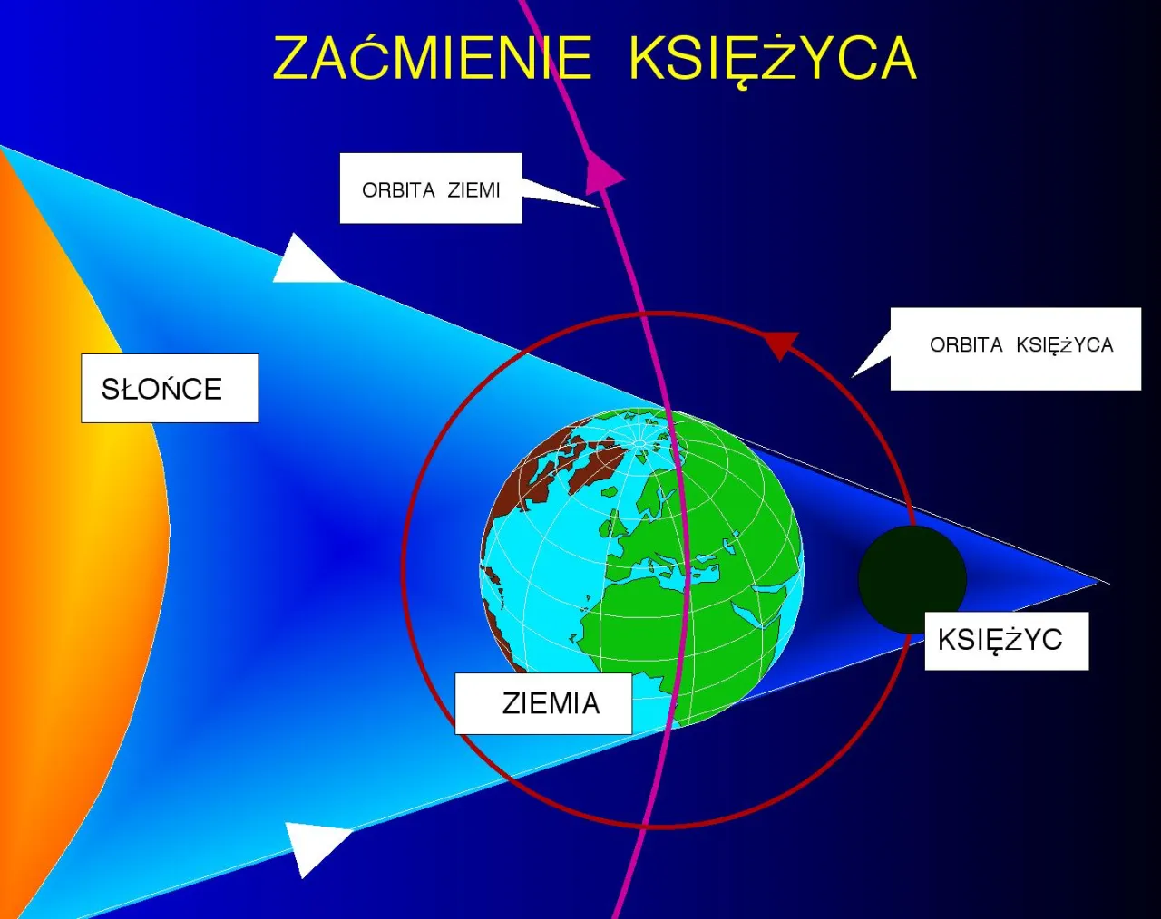Zdjęcie Najlepsza faza księżyca do odrobaczania – kiedy działa najskuteczniej?
